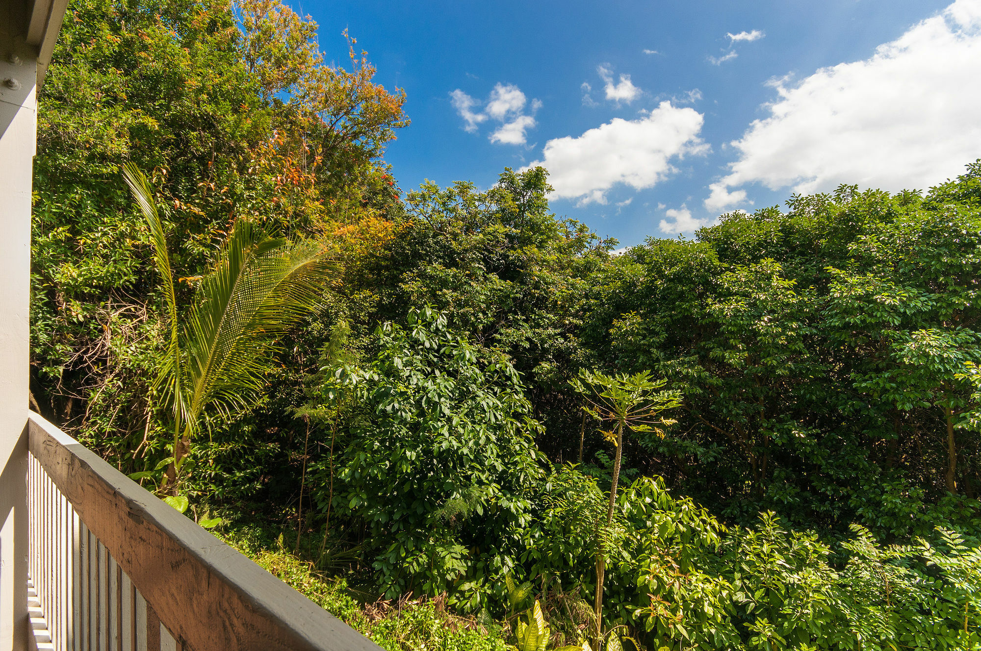 Princeville Oceanfront