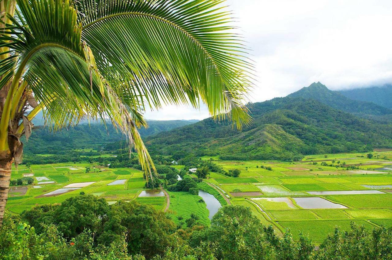 Islander On The 352 Oceanfront *penthouse* Ac Pool * Kapa'a
