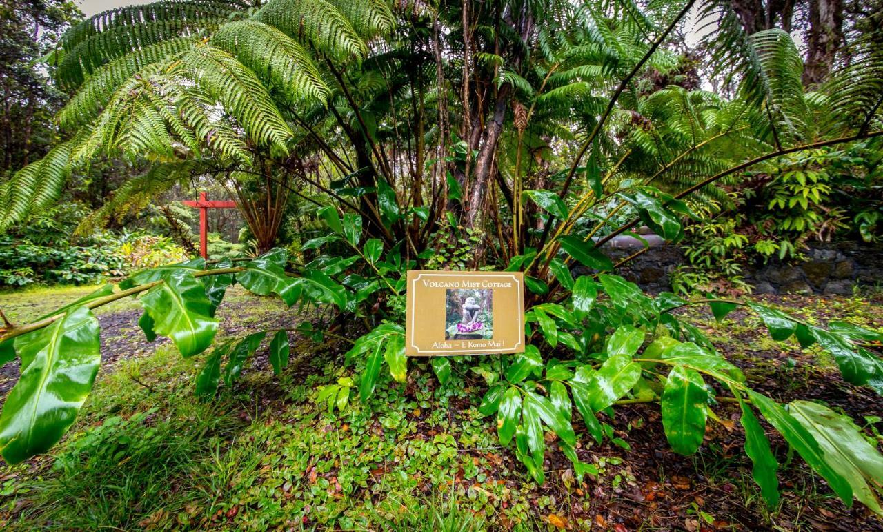 Mist Bed & Breakfast Volcano
