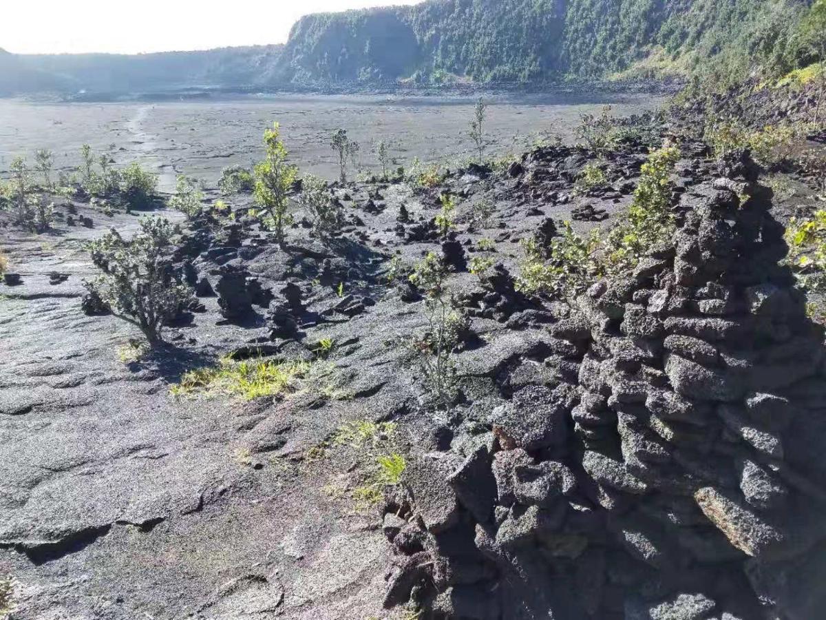 Forest 3* Volcano
