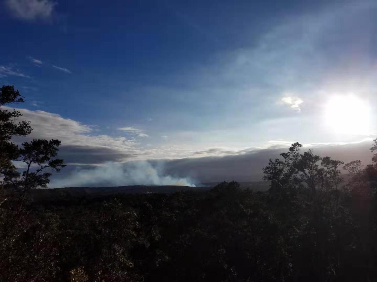 Forest Volcano