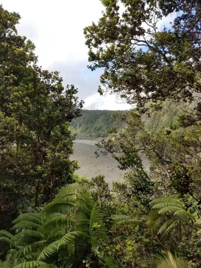 Forest 3* Volcano