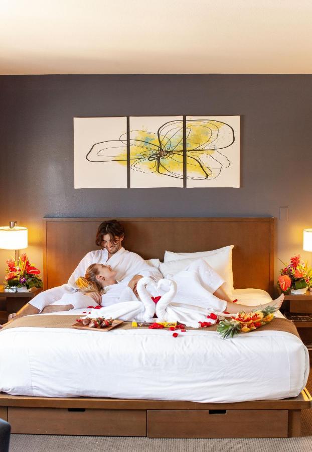 Vive Waikiki Hotel