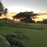 Kohala Lodge- Vacation Rental House