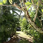 Waimea Bay Shoreline House