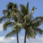 Maui Parkshore By Maui Condo And Home