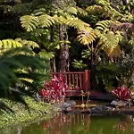 Chalet Kilauea