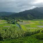 Puamana 25A
