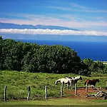 Kohala Lodge- Vacation Rental House