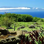 Kohala Lodge- Vacation Rental House