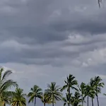 Maui Vista 1411