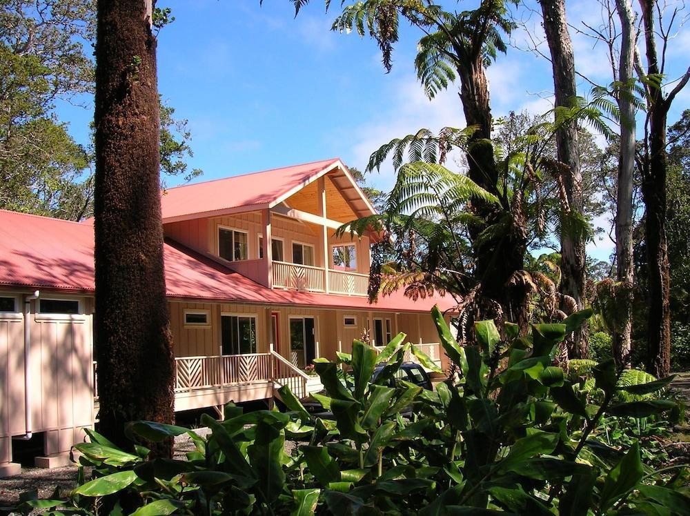 Inn Forest Volcano