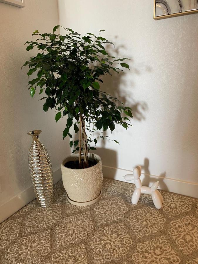 Apartment 1bd With Ocean Views: 40% Off, Self Check-in Kihei