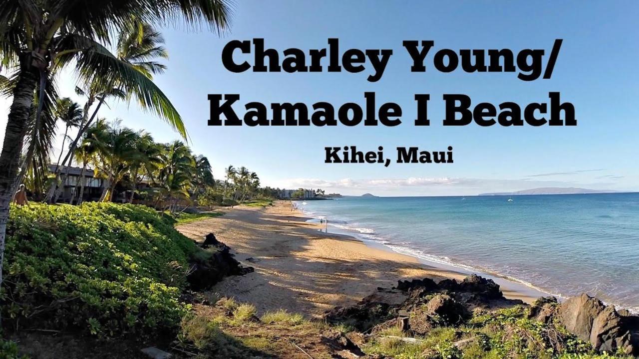 1bd With Ocean Views: 40% Off, Self Check-in Kihei