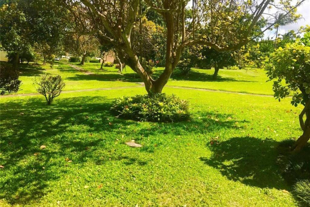 Hidden Gem! Turtle Bay Hideaway-85 * Kahuku