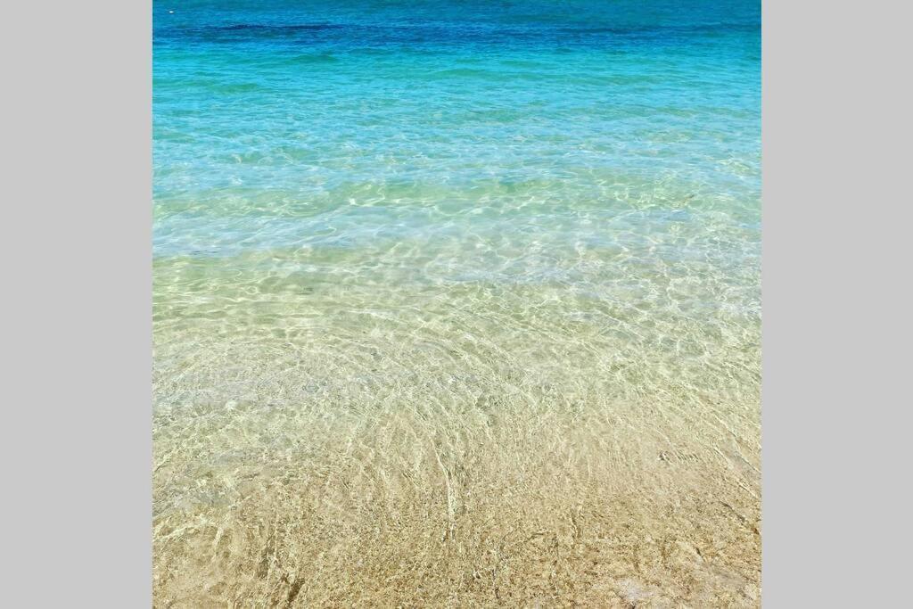 Hidden Gem! Turtle Bay Hideaway-85 Apartment