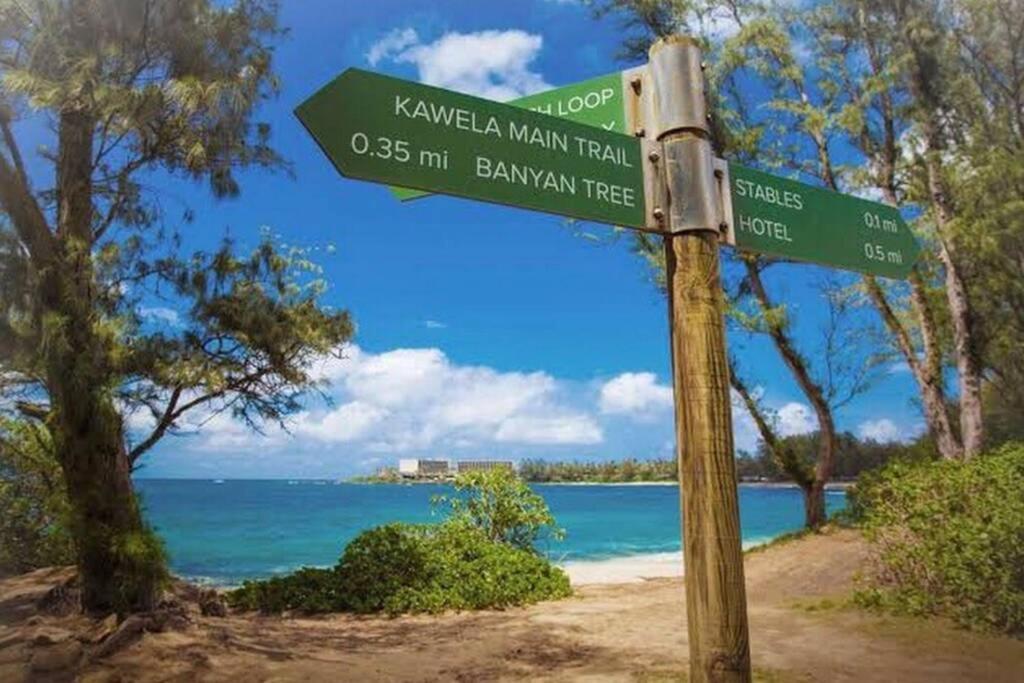 Hidden Gem! Turtle Bay Hideaway-85 Apartment