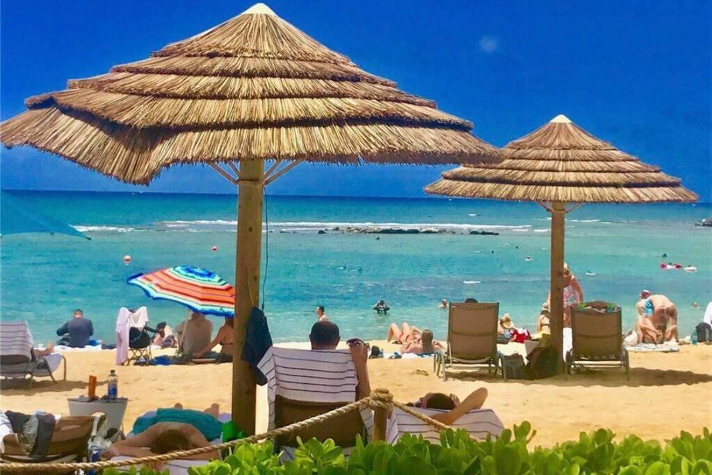 Hidden Gem! Turtle Bay Hideaway-85 Apartment *