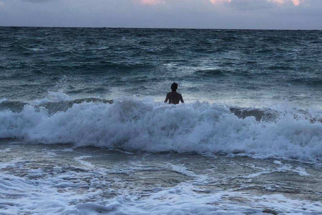 Hidden Gem! Turtle Bay Hideaway-85 *