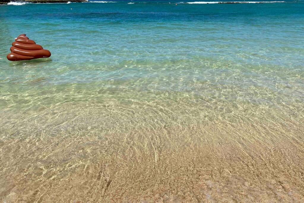 Apartment Hidden Gem! Turtle Bay Hideaway-85