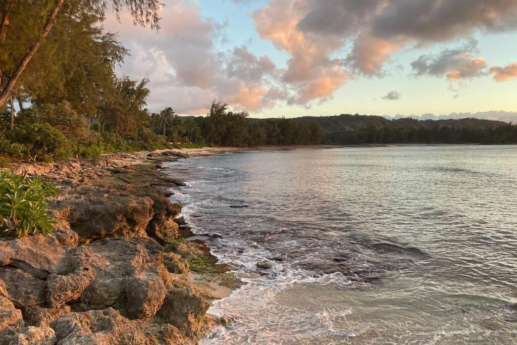Hidden Gem! Turtle Bay Hideaway-85 Apartment
