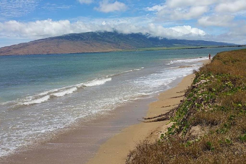 Oceanfront Penthouse With Amazing Views At Kauhale Makai Kihei