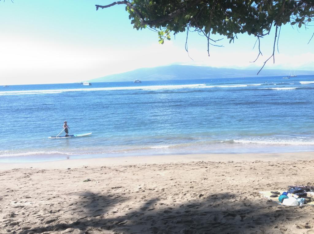 Hostel Tiki Beach Hostel-At The Beach In Lahaina *
