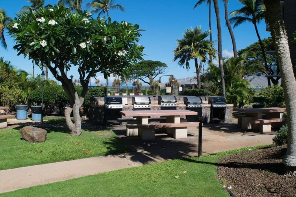Apartment Oceanfront Penthouse With Amazing Views At Kauhale Makai Kihei
