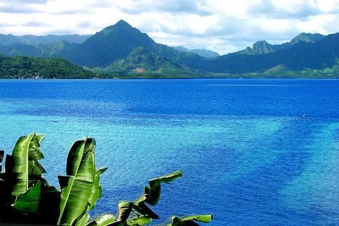 Kauai Coast At The Beach Boy 4* Kapa'a