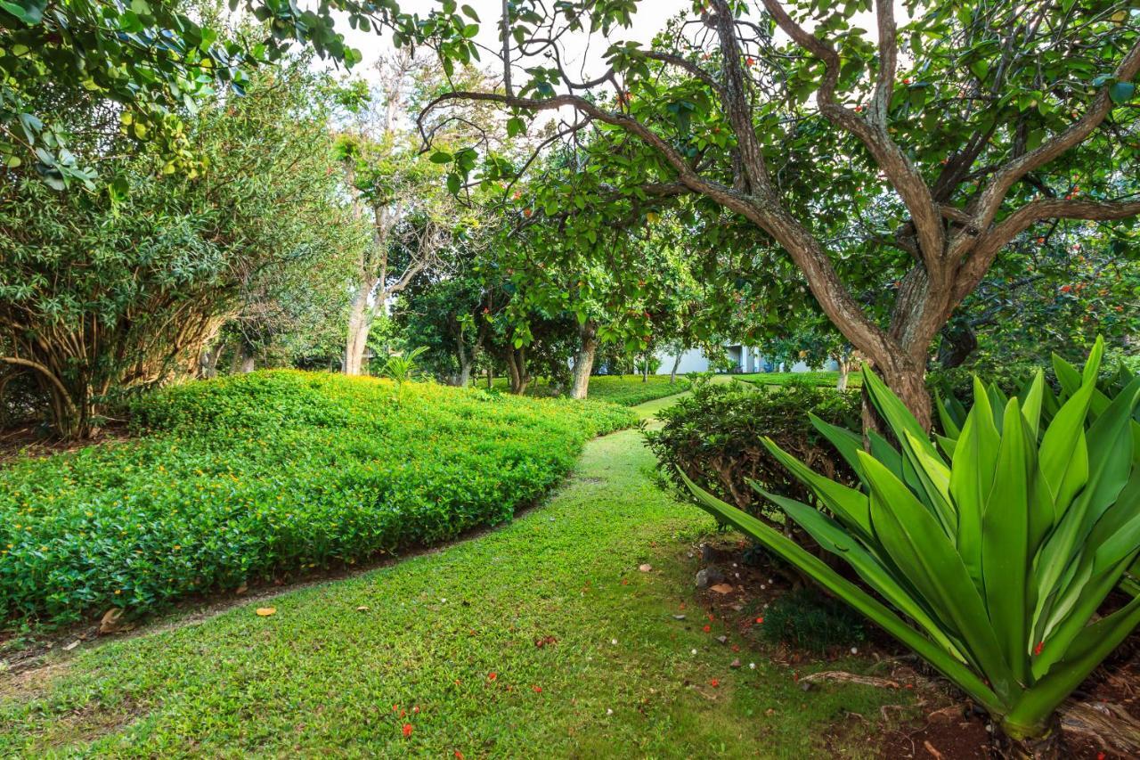 Modern, Romantic Vibes In The Tropics Kahuku
