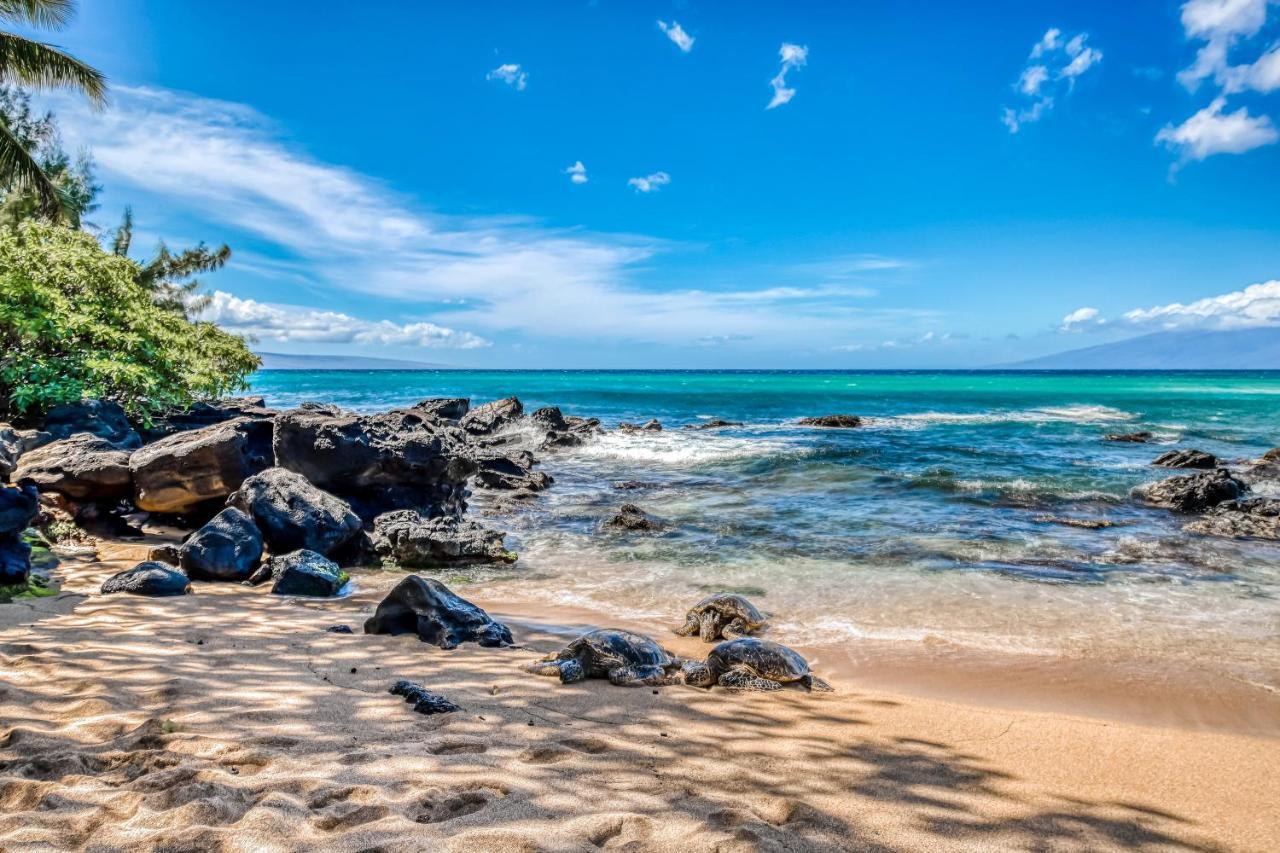 Apartment Mahina Surf *