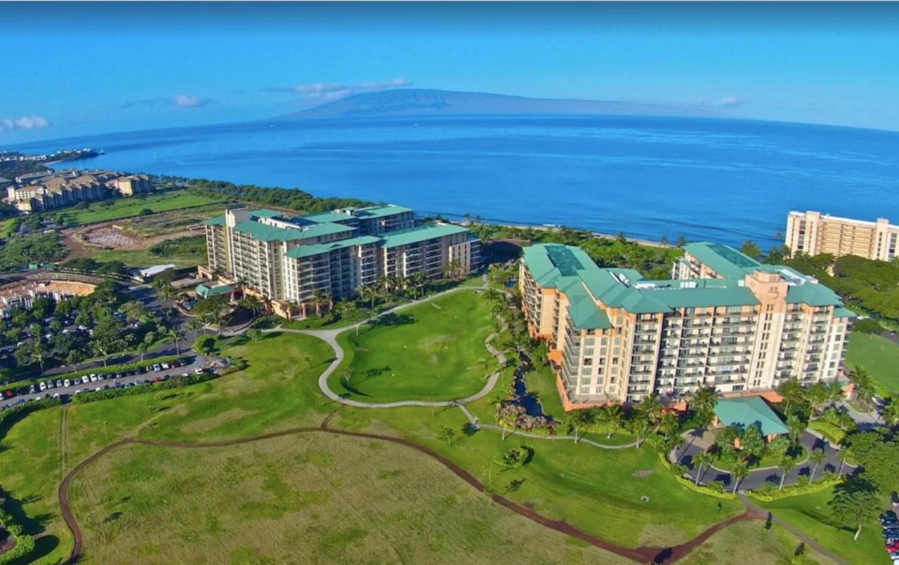 Extra Large 1br Luxury With Massive Outdoor Space & Balcony Apartment