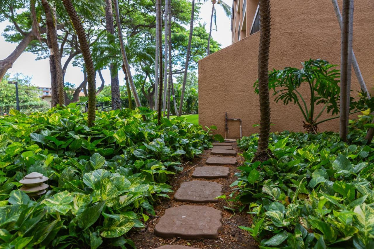 Maui Vista Vacation Apartment Kihei