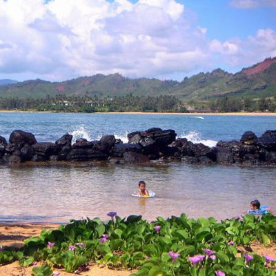 17 Palms Kauai