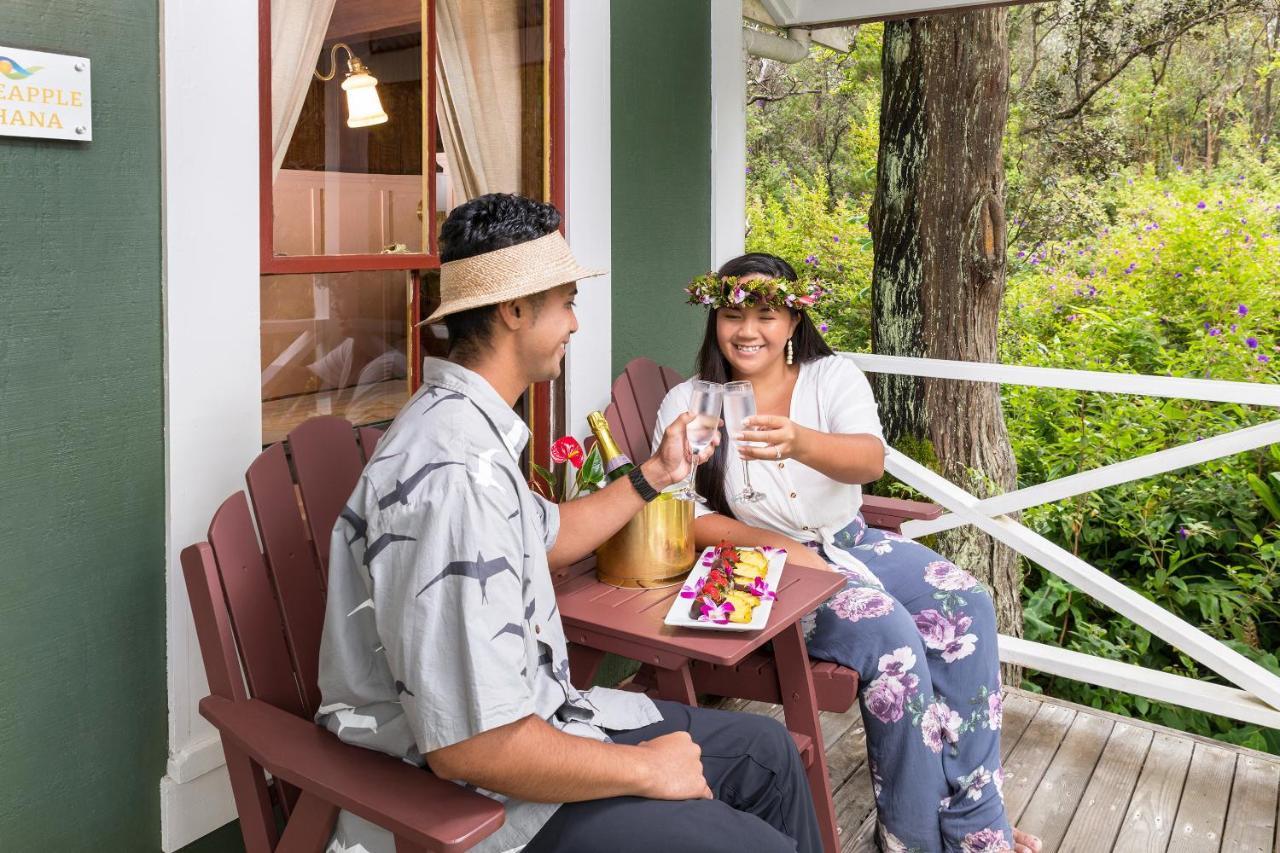 Volcano Village Estates 3*