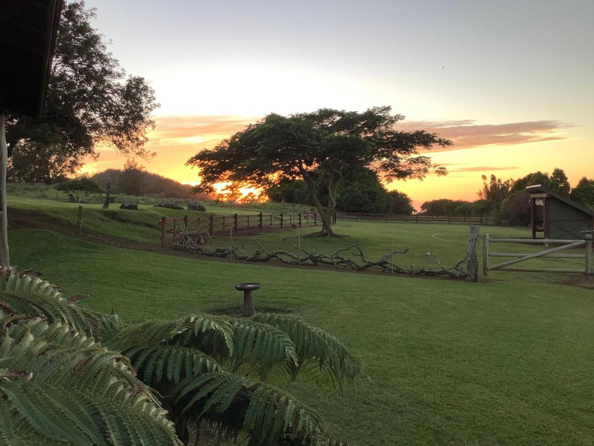 Kohala Lodge- Vacation House Holiday home