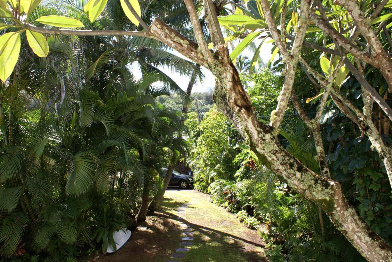 Waimea Bay Shoreline House Haleiwa