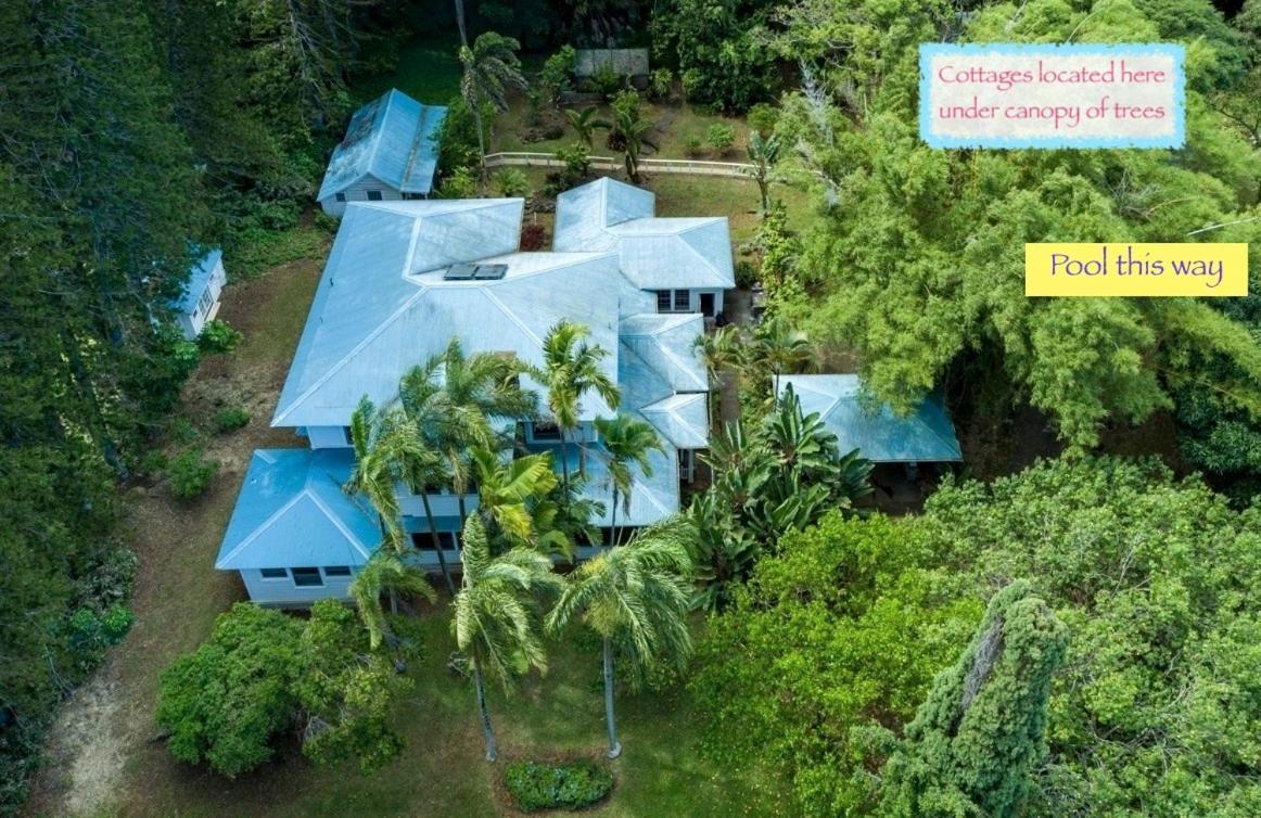 Eco-Boutique Guest House At Aloha Boutique Hotel Holiday home