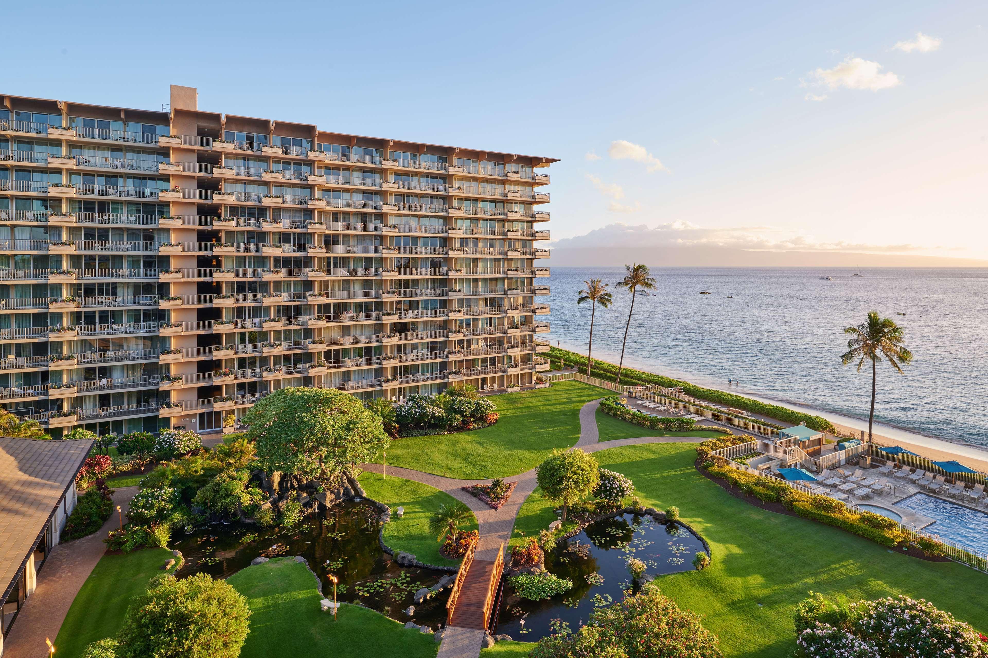 Aston At The Whaler On Kaanapali