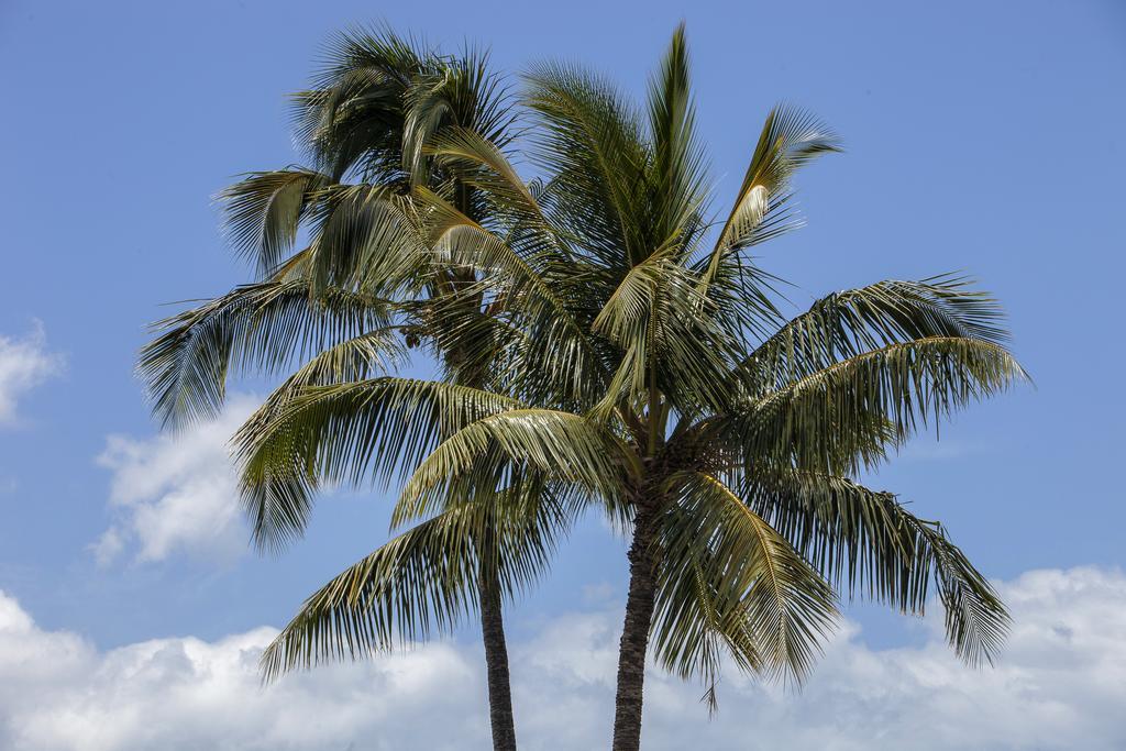 Maui Parkshore By Maui And Aparthotel Wailea (Maui)