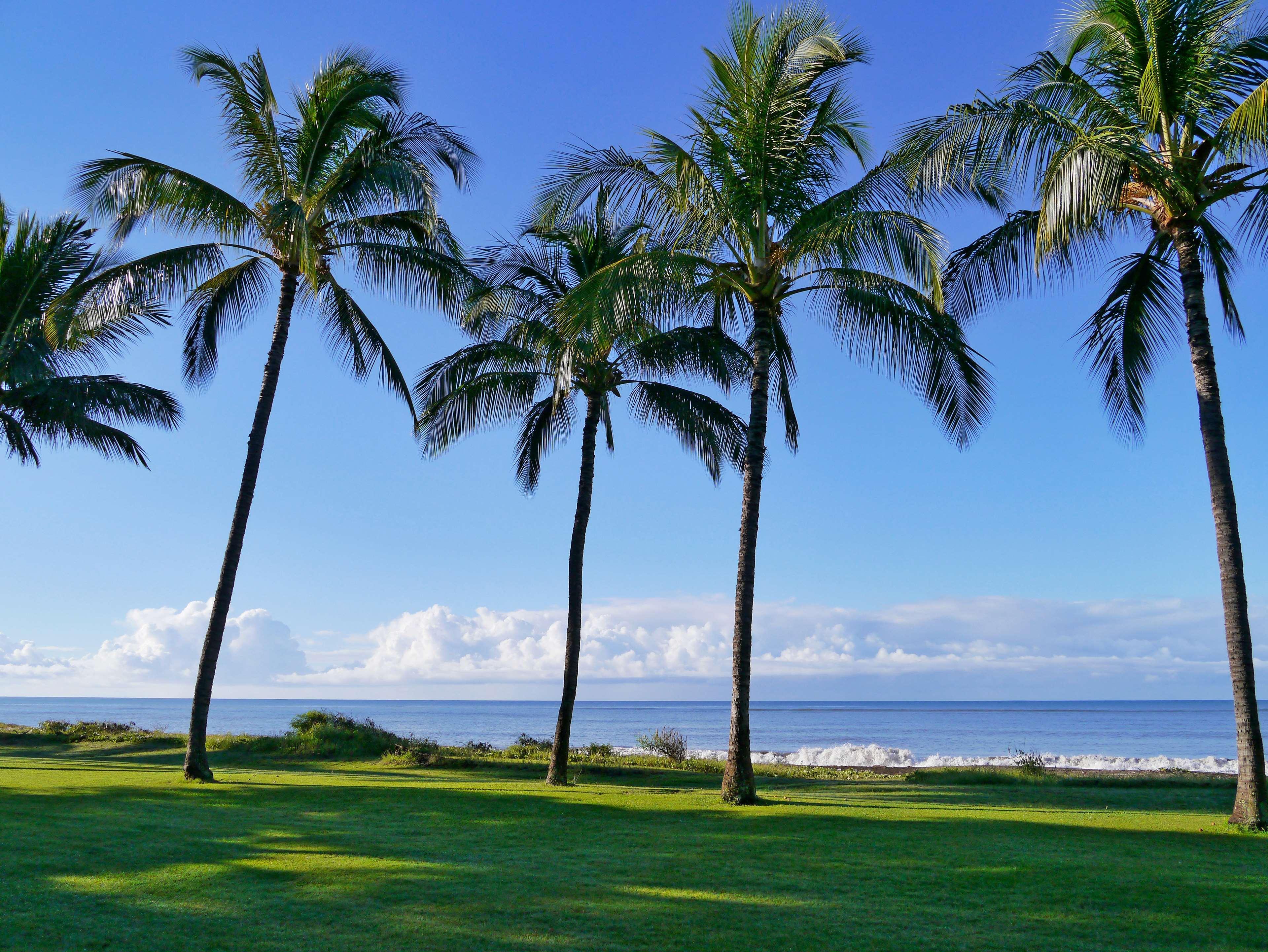 Waimea Plantation Cottages, A Coast Hotel Kauai
