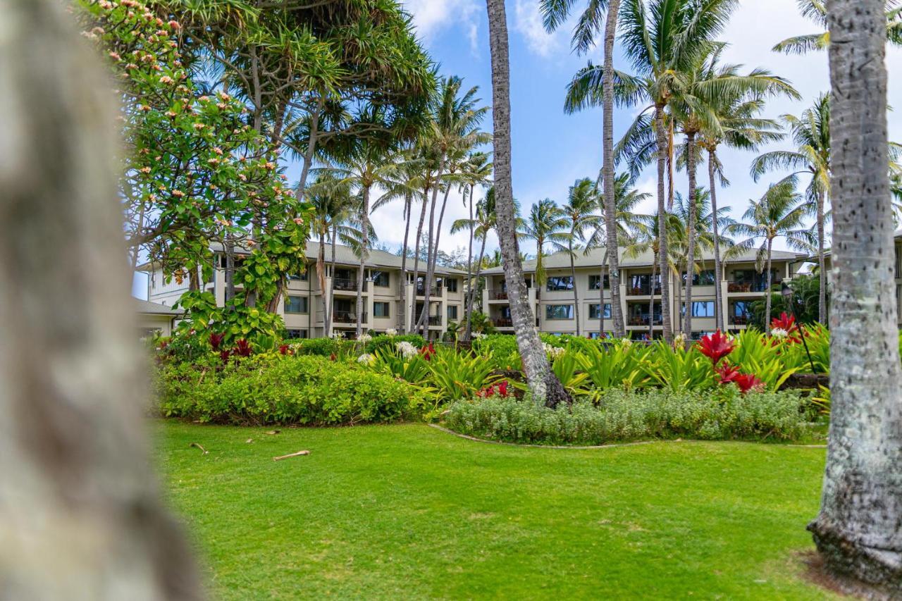 Turtle Bay Apartment