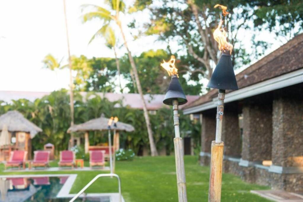 Apartment Gorgeous 2 Blocks From The Heart Of Maui