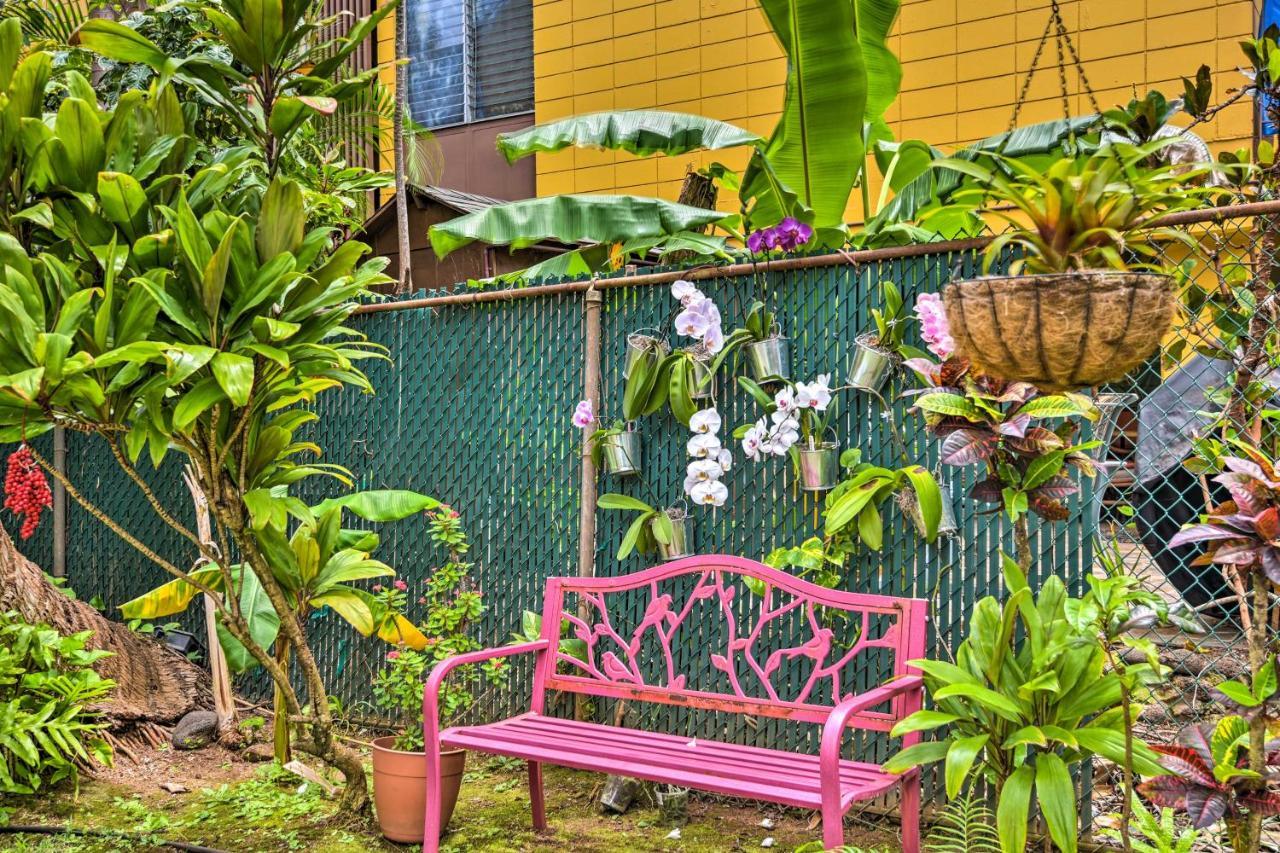 Beachfront Lahaina - Featured On Hgtv! Apartment