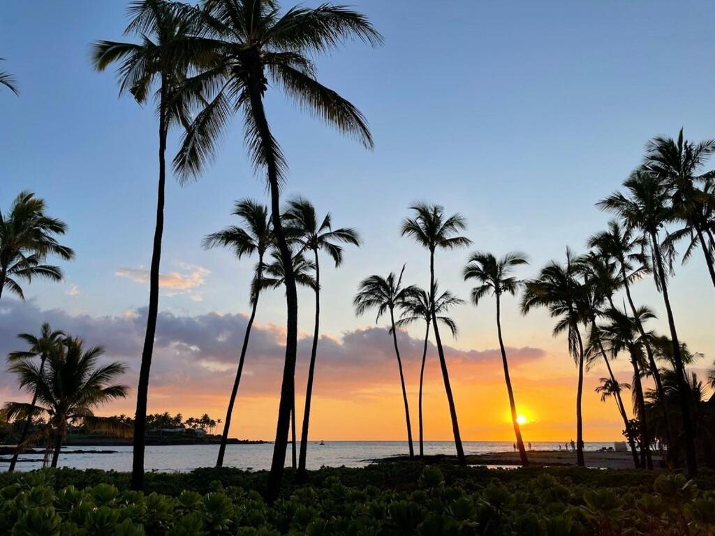 Mauna Lani Palm D-2 Corner Unit Historic View