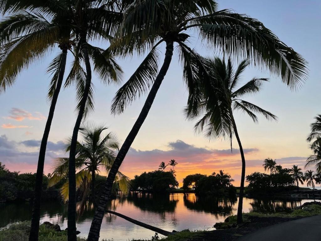 Holiday home Mauna Lani Palm D-2 Corner Unit Historic View *