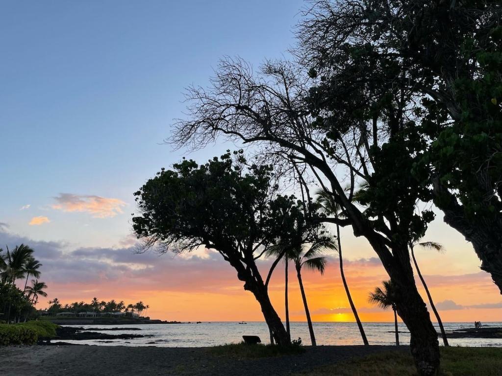 Mauna Lani Palm D-2 Corner Unit Historic View