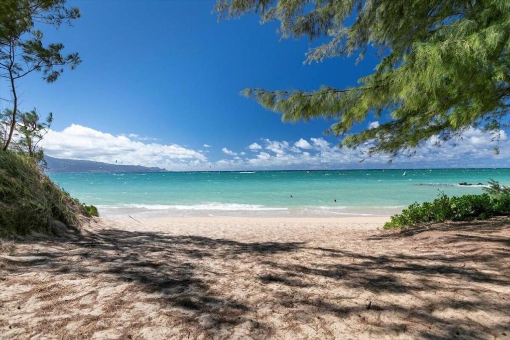 Unit 15 Maui Ohana Modern Apartment Wailuku