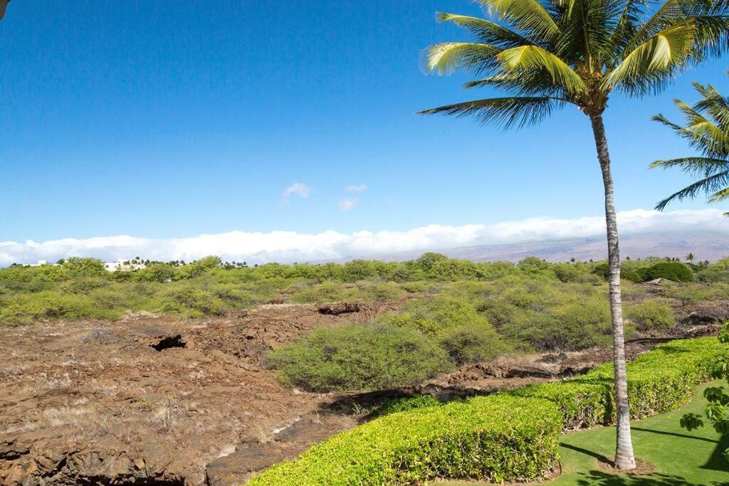 Mauna Lani Palm H-4 Amazing View Corner Unit Holiday home Waikoloa