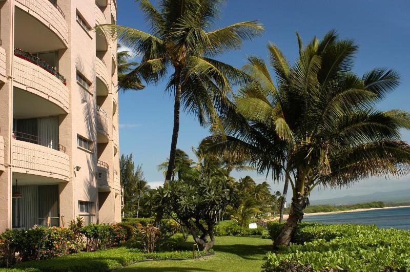 Island Sands